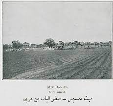 ميت دمسيس منظر البلده من غربي in 2021 blog posts blog post