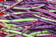 Maybe you would like to learn more about one of these? How To Freeze Purple Hull Peas Tasty Year Round