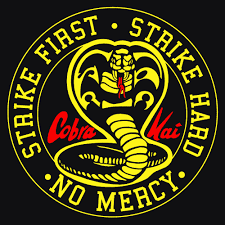 I Finished Cobra Kai Season 3 Is Coming Strike Fist Strike Hard No Mercy Karate Kid Cobra Kai Dojo Karate Kid Cobra Kai