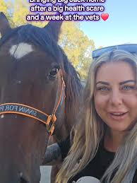 Honestly The Lanky Horse Is Coming Home with Us