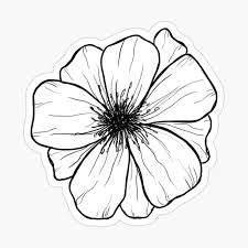 Customize your black and white flower print with hundreds of different frames and mats, if desired. Simple Black And White Flower Sticker Greeting Card By Elenadesignsco Redbubble