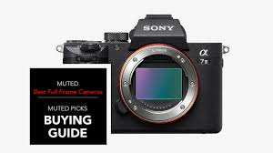 Sony alpha a7r iv ($2,998) Best Full Frame Cameras For Any Budget Muted