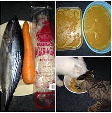 Makanan kucing persia sebenarnya sama saja dengan jenis makanan untuk kucing pada umumnya. Resepi Makanan Kucing Terbaik Yang Mudah Dan Protein Tinggi Mobile