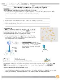 Some of the worksheets displayed are explorelearning student exploration cell structure answer, student exploration cell types, teacher guide gizmo cell division answer key ebook, cell structure. Virus Lytic Cycle Africangreyparrott Com