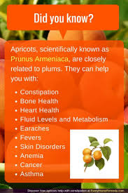 Pin On Healthy Living