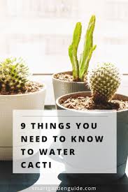 9 Tips To Help You Know When Your Cactus Needs Water Guide To Watering Cactus Houseplants Including When Indoor Cactus Plants Cactus House Plants Cactus Care