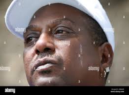 Elses hi-res stock photography and images