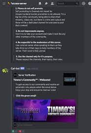 Discordsolution I Will Create A Secure Nft Discord Server Within 48 Hours For 125 On Fiverr Com In 2021 Discord Server Community