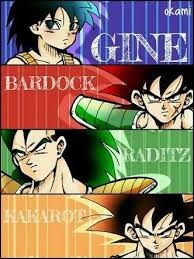 Saiyan Family Gine Dbz Personajes De Dragon Ball Dragon Ball Z