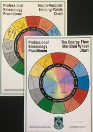 Pkp Neuro Vascular Cycle Chart With Energy Flow Meridian Wheel Chart
