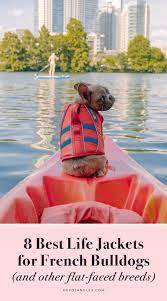 8 Best Life Jackets For French Bulldogs And Other Brachycephalic Dogs In 2021 French Bulldog Bulldog Life Jacket