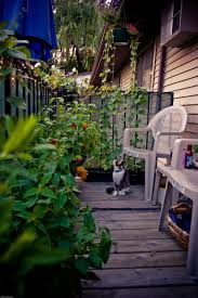 Gravel and rocks spread across balcony areas lend a feel of the outdoors. 25 Charming Balcony Gardens