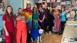 Animal Hospital of Treasure Island