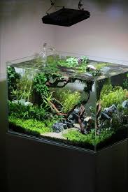 Aqu Aquarium Aquascaping Bricolage D39eau Decoration Decorations Douce Idees Petit Themes Diy Aqua Diy Fish Tank Aquarium Fish Tank Aquascape Design