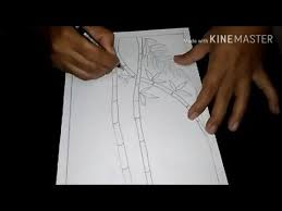 Hewan darat raksasa yang memiliki ukuran super besar. Cara Menggambar Sketsa Motif Batik Sketsa 18 Youtube