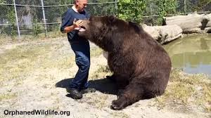 Jimbo pulls Jim AWAY from the water!