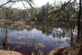 Maybe you would like to learn more about one of these? Wharton State Forest Atsion To Quaker Bridge Loop Njhiking Com