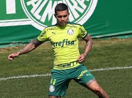 Cuiabá vs palmeiras prediction and betting tips. Ran9lhryp1qsfm