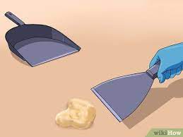 Spray cold water on the vomit stain it is important to clean the affected carpeted area with cold water before proceeding on to the next steps. How To Clean Vomit Out Of Carpet With Pictures Wikihow Life