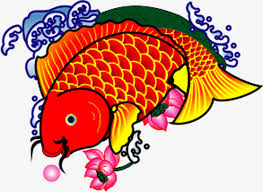 Laut hewan ocean air ikan mas881. Gambar Ikan Mas Png Gambar Ikan Hd