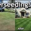 Check out how do you overseed a lawn on top10answers.com. Https Encrypted Tbn0 Gstatic Com Images Q Tbn And9gcrs4etdzgmhsezje6tgfftgvk2nucifa5zwdcvhr4fbizjmurjm Usqp Cau