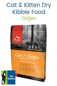 Pin By Two Bostons On What S For Dinner Cat Food Kitten Formula Cat Diet Cats And Kittens