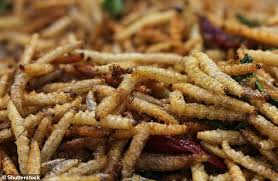 But maggots, which are the larval stage of flies and other related insects, are actually one of nature's unsung heroes. Maggots Must Be Mass Farmed To Combat Malnutrition In Humans Study Says Daily Mail Online