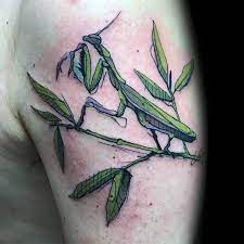 The feeding praying mantis tattoo is a popular choice. 50 Praying Mantis Tattoo Designs For Men Insect Ink Ideas