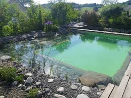 Teichbau Schweiz 15 Jahre Erfahrung Natural Pond Swimming Pond Natural Swimming Pools