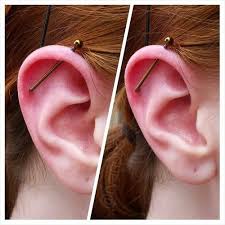 Not Everyone Has The Anatomy Needed For A Traditional Helix Rim To Rim Industrial Piercing So For This Client I Use Industrial Piercing Ear Piercings Piercing