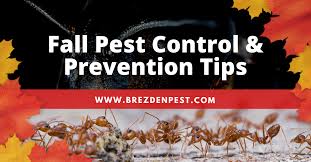 Pollen and air quality forecast for san luis obispo, ca with air quality index, pollutants, pollen count and pollution map from weather underground. Brezden Pest Control S Top September Pest Control Tips Brezden Pest Control