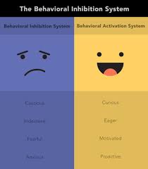 Depression After A Concussion | Cognitive Fx