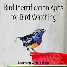 Birds In My Area App Bird Identification Apps For Bird Watching Bird Identification Bird Watching Bird