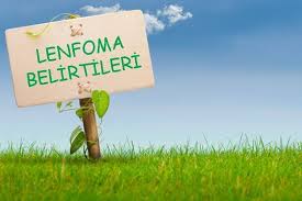 Lenfoma ile ile ilgili kesin tanı için mutlaka doktorunuza danışın. Lenfoma Lenf Kanseri Nedir Belirtileri Ve Tedavisi Nasildir