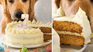 Top them with the frosting recipe linked above or with my healthy cream cheese frosting recipe, also posted on the blog. Dog Cake Recipe For Dozer S Birthday Recipetin Eats