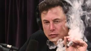 James Alexander StClair convicted in Coffs court after wild drive at Urunga 