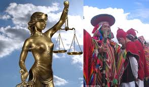 Image result for Justicia incana