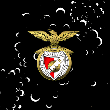 Https Encrypted Tbn0 Gstatic Com Images Q Tbn 3aand9gcq22 V Rjo8pvlzicrap7st57tfuh9tkgkh7w Usqp Cau