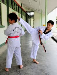Las obras educativas y socioeducativas de la salle están diseminadas por toda la geografía peninsular dando servicio y educación. Sk La Salle Klang Power Sport Taekwondo