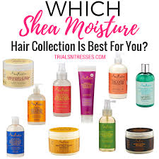 which shea moisture hair collection is best for you