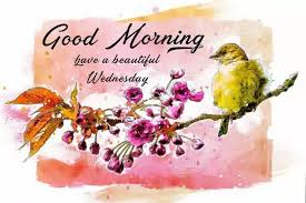 We did not find results for: Good Morning Happy Wednesday Images Wishes Quotes