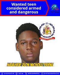 Community Beautification Project: Beautify Your Community with Expert Help