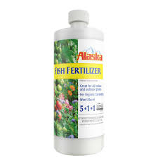 Fertilize phalaenopsis with a 1:3:1 (high phosphorus) ratio fertilizer in november when the plants are setting their flower buds. Alaska Fish Fertilizer 5 1 1 Pennington