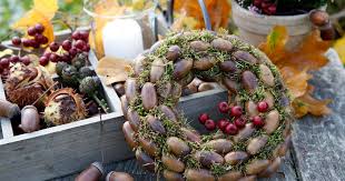 Für haribo ist das eine gute, alljährliche marketing aktion, mit der man kunden zieht und bindet und gleichzeitig etwas für den tierschutz tut. Bastelideen Mit Eicheln Und Kastanien Mein Schoner Garten