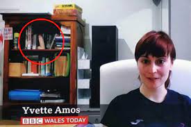 Woman goes viral after appearing on BBC Wales with something VERY rude on  shelf behind her | The Sun
