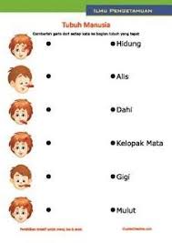 44 Gambar Anggota Tubuh Terbaik Belajar Bahasa Dan Download Apa Itu Bagian Tubuh Nama Bagian Tubuh Bagian Tubuh Dalam Tubuh Manusia Kegiatan Sekolah Belajar