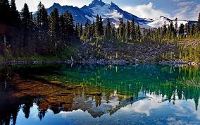 We did not find results for: Windows Backgrounds Nature For Pc 1920x1200 Hd Wallpaper Wallpaperbetter