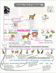 Dog Intelligence Chart Start Gathering All Your Extended