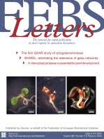Catechin derivatives: Specific inhibitor for caspases-3, 7 and 2, and the  prevention of apoptosis at the cell and animal levels