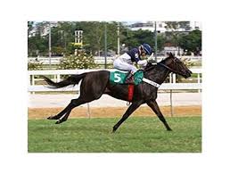 Image result for BALI Score